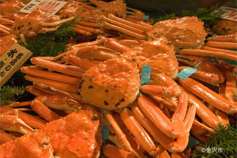 近江町市場 カニまつりが今年も開催されます！