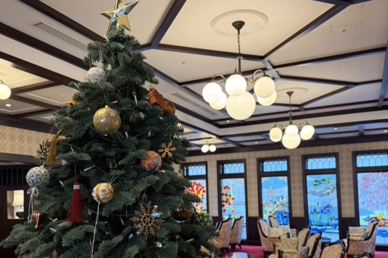 ロビーにクリスマスツリーが登場いたしました🎄A Christmas Tree Adorns Our Lobby