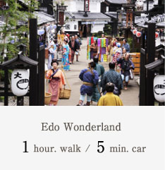 Edo Wonderland