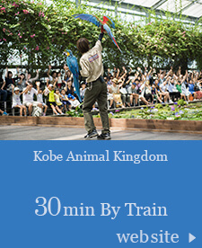 Kobe Animal Kingdom