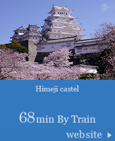 Himeji castel