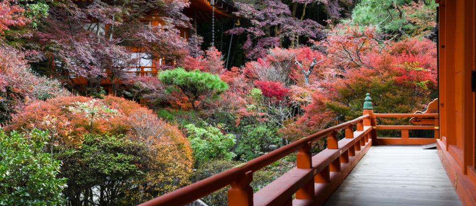 Charm of Yamashina