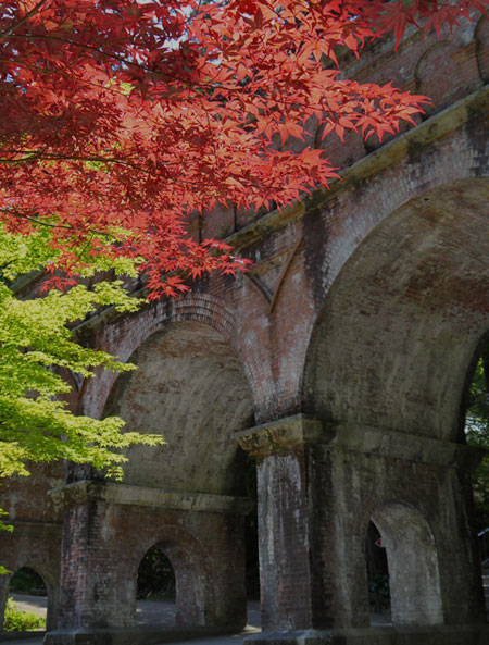 南禅寺・疎水