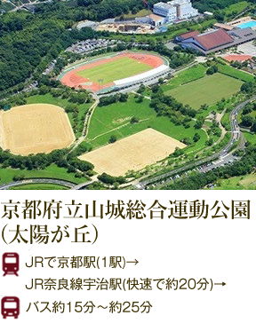 総合運動公園