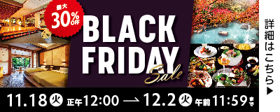 BLACK FRIDAY SALE
