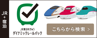 JR東日本びゅう ダイナミックレールパック